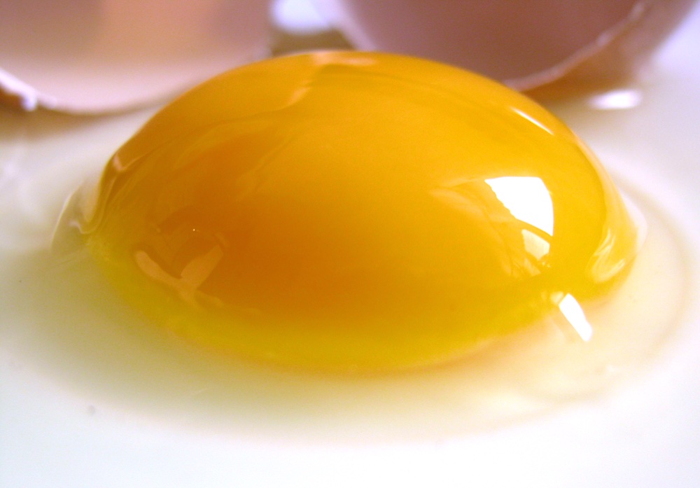 raw eggs — reference photograph